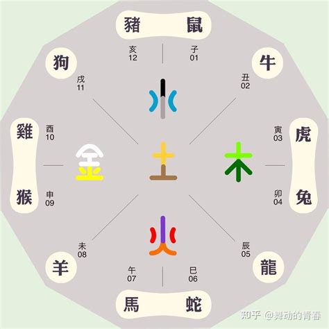 本命色是什麼|五行顏色生肖：12生肖五行本命色和相生色，讓你的運。